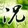 桃花期